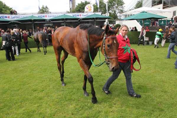 Bult VGH2011   017.jpg
